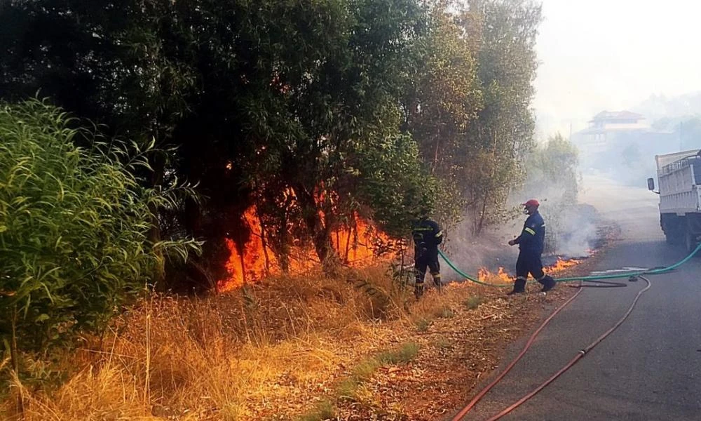 Υπό μερικό έλεγχο οι πυρκαγιές σε Λάγιο Λακωνίας και Ελληνικό Αργολίδας